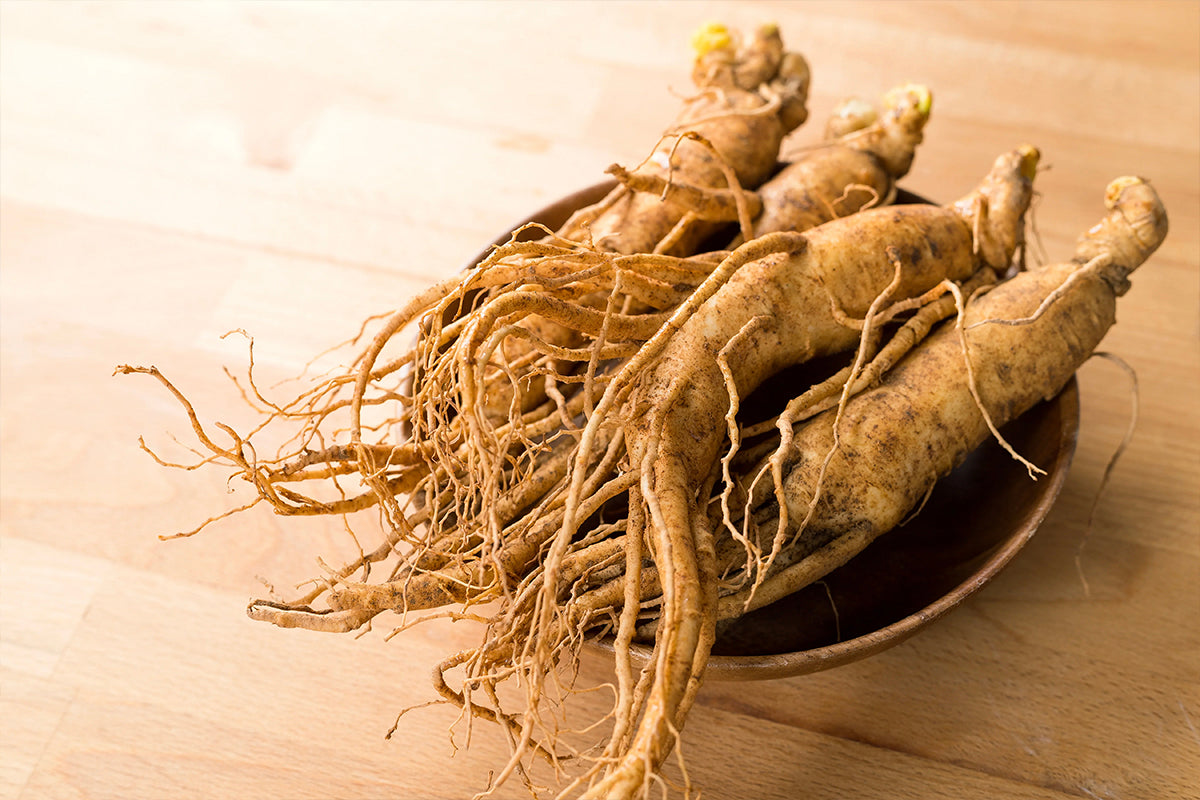 Ginseng Özü ve Cilt Bakımında Olağanüstü Faydaları